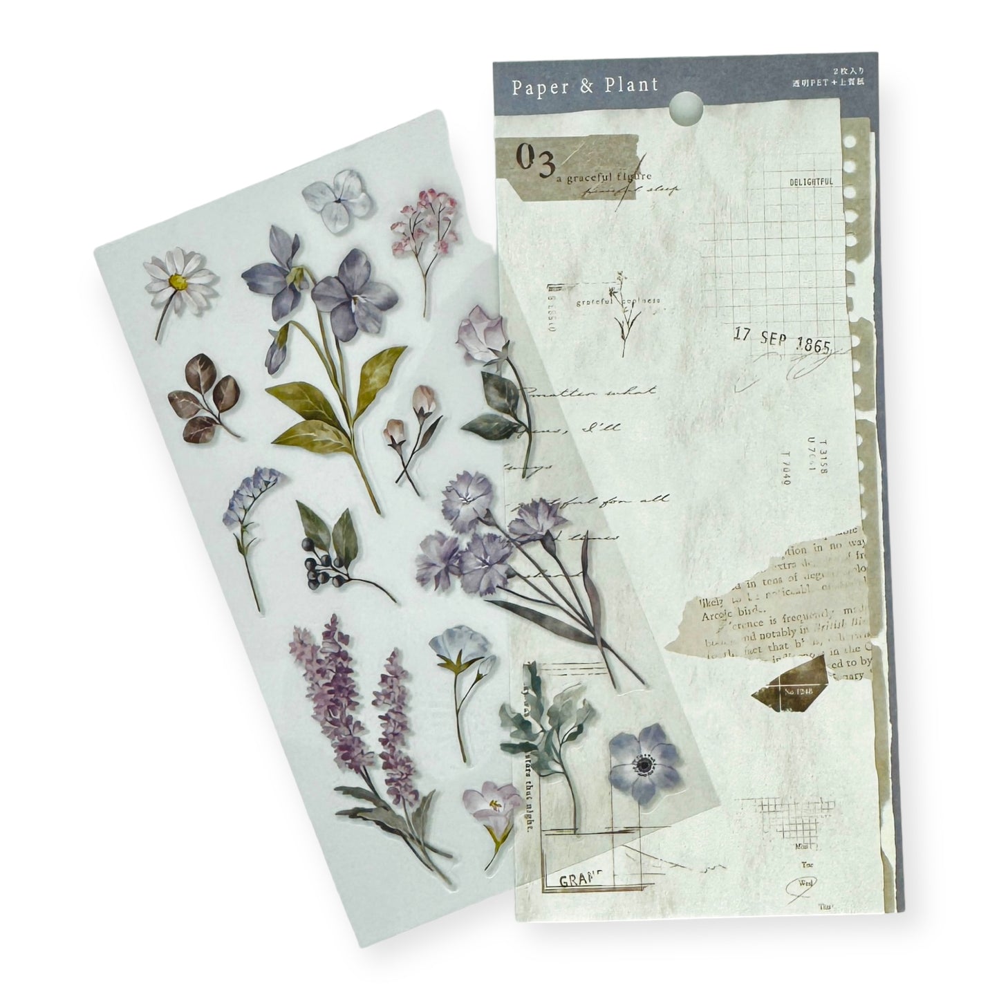 Mind Wave - Paper and Plant Sticker