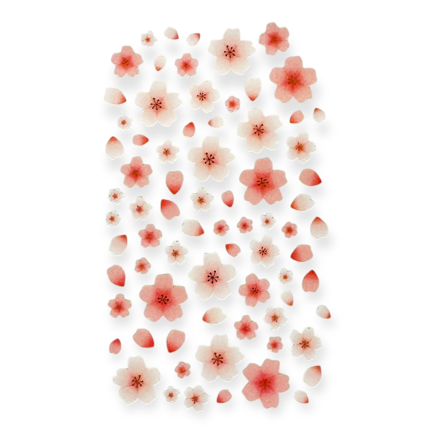Suatelier Blossom Day Sticker (No. 1085)