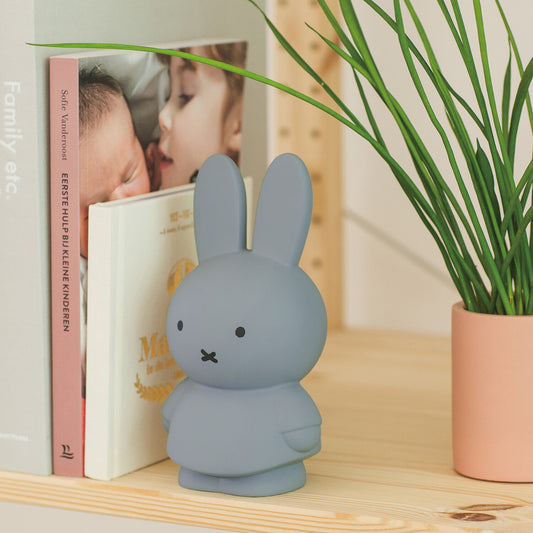 Space Joy Miffy Coin Bank