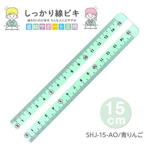 Plus Plastic Ruler