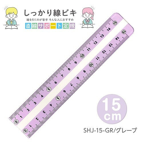Plus Plastic Ruler