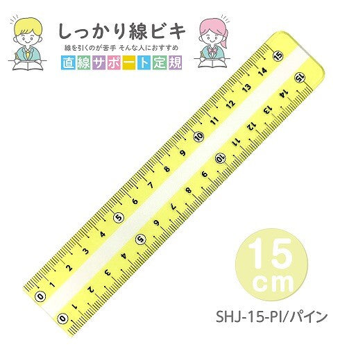 Plus Plastic Ruler