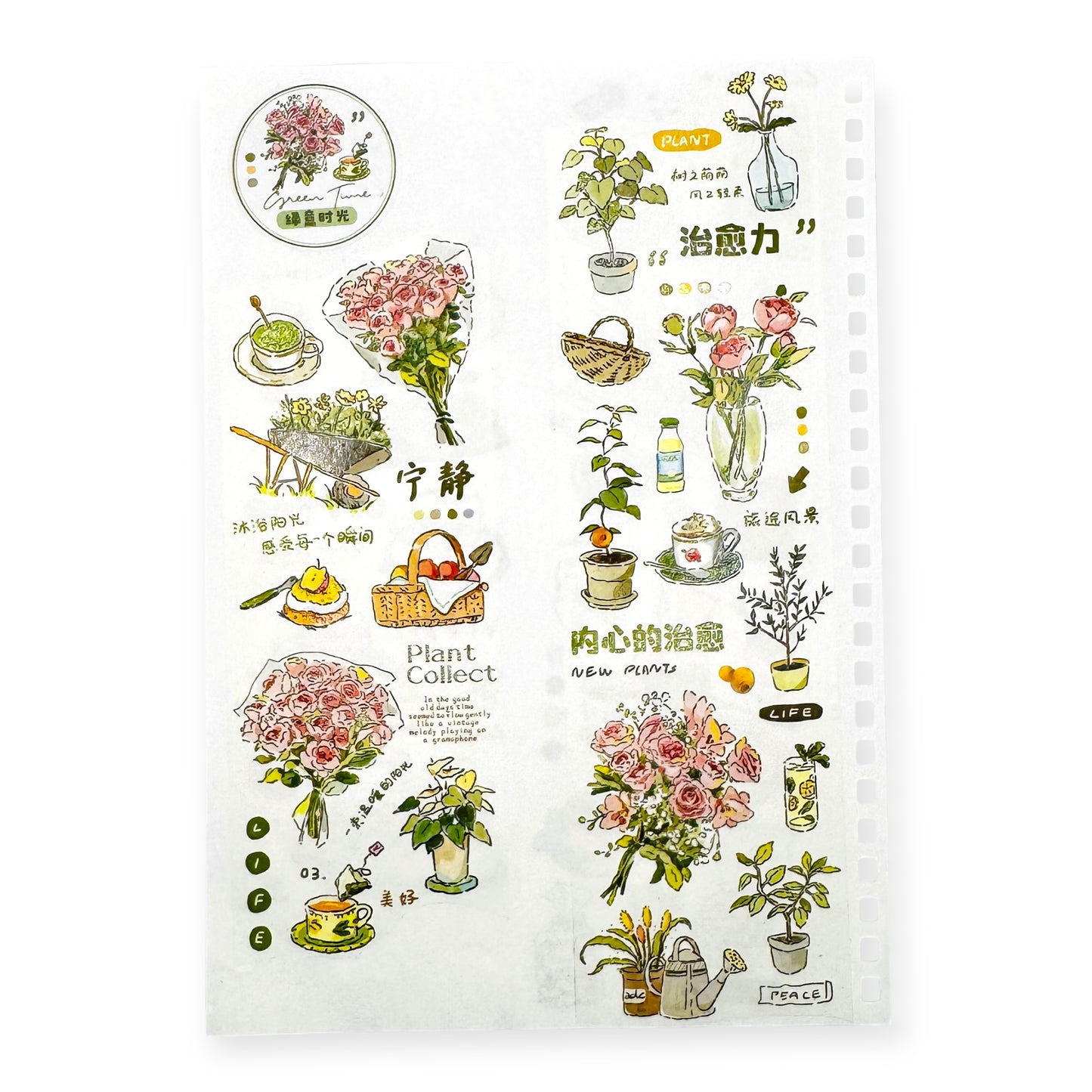 Everyday Illustrations Washi Tape Series