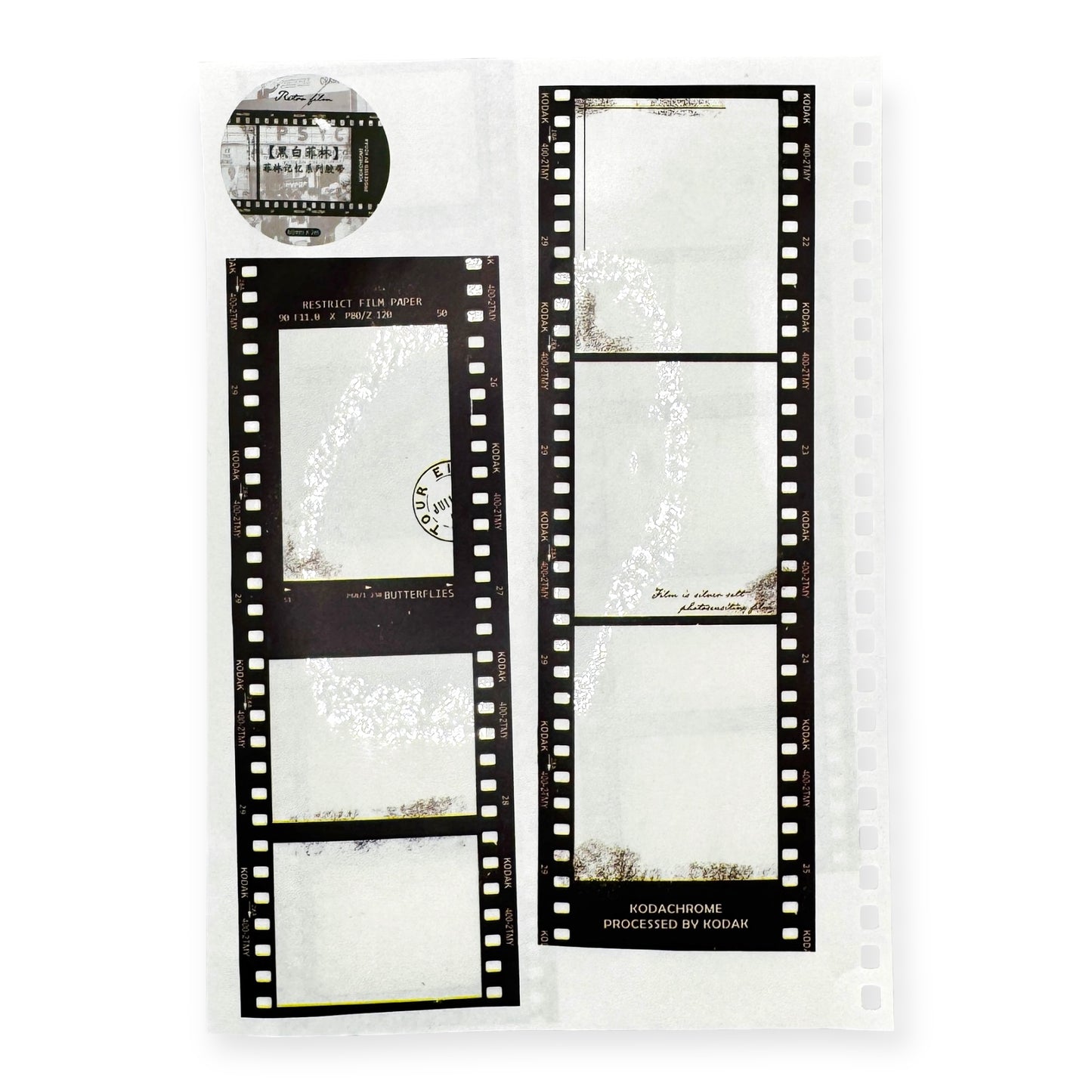Film PET Tape Series (60 mm)
