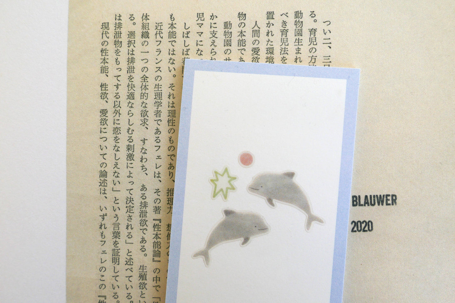 Suatelier Sticker Sheet - Aqua aqua